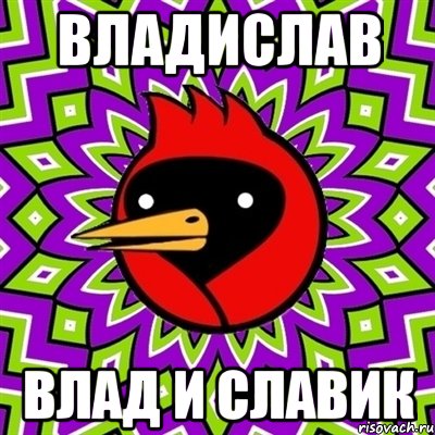 владислав влад и славик, Мем Омская птица