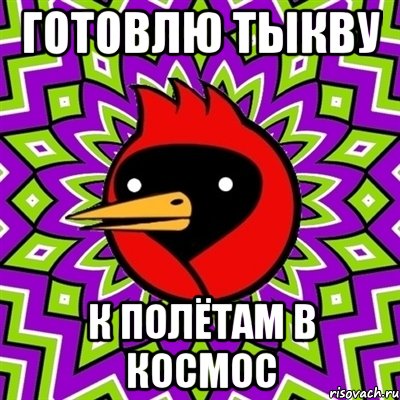 готовлю тыкву к полётам в космос, Мем Омская птица