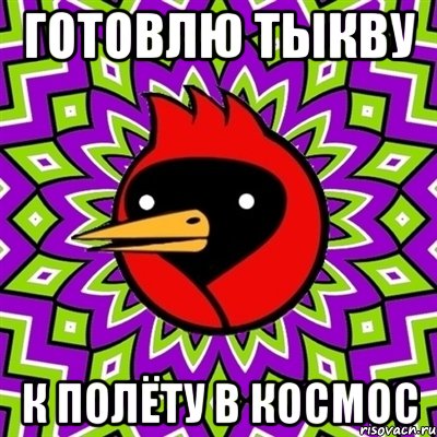 готовлю тыкву к полёту в космос, Мем Омская птица
