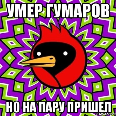 умер гумаров но на пару пришел, Мем Омская птица