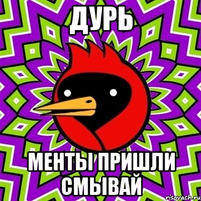 дурь менты пришли смывай, Мем Омская птица