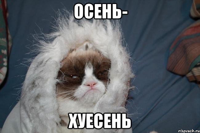 осень- хуесень