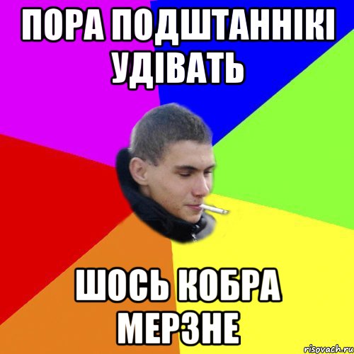пора подштаннікі удівать шось кобра мерзне