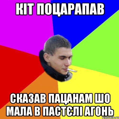 кіт поцарапав сказав пацанам шо мала в пастєлі агонь