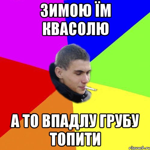зимою їм квасолю а то впадлу грубу топити