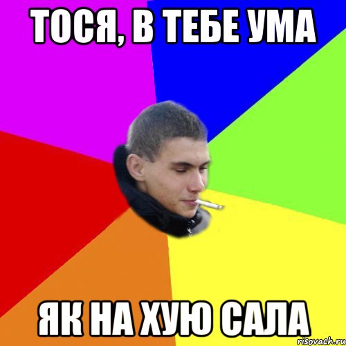 тося, в тебе ума як на хую сала