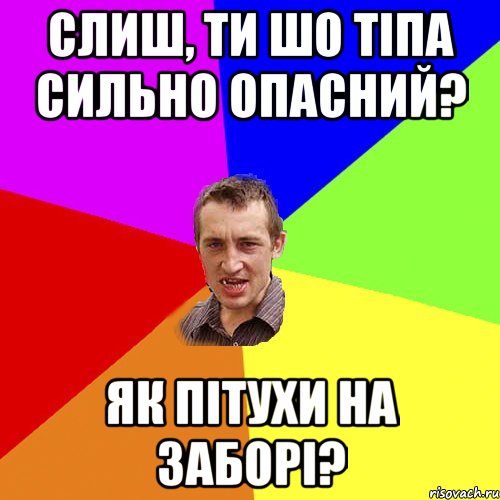 слиш, ти шо тіпа сильно опасний? як пітухи на заборі?, Мем Чоткий паца