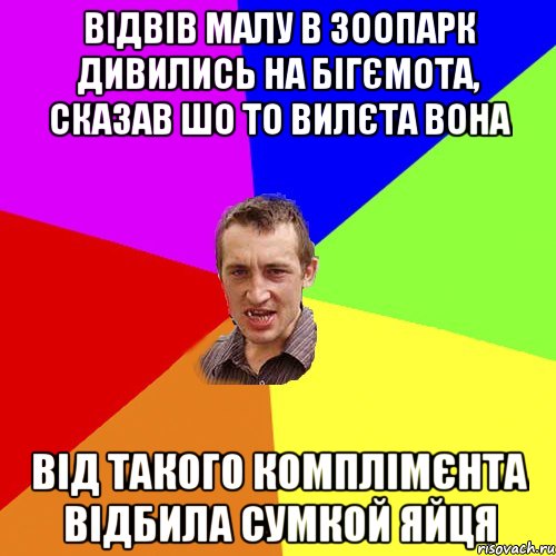 відвів малу в зоопарк дивились на бігємота, сказав шо то вилєта вона від такого комплімєнта відбила сумкой яйця, Мем Чоткий паца