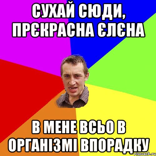 сухай сюди, прєкрасна єлєна в мене всьо в організмі впорадку, Мем Чоткий паца