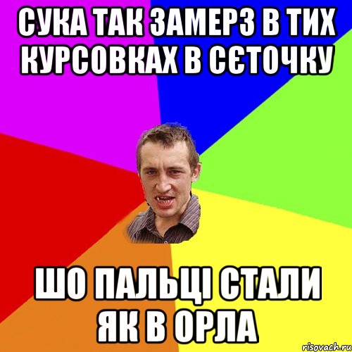 сука так замерз в тих курсовках в сєточку шо пальці стали як в орла, Мем Чоткий паца