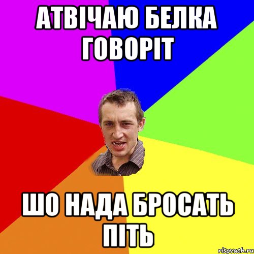 атвічаю белка говоріт шо нада бросать піть, Мем Чоткий паца