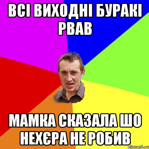 всі виходні буракі рвав мамка сказала шо нехєра не робив, Мем Чоткий паца