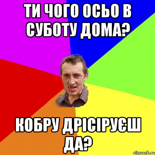 ти чого осьо в суботу дома? кобру дрісіруєш да?, Мем Чоткий паца