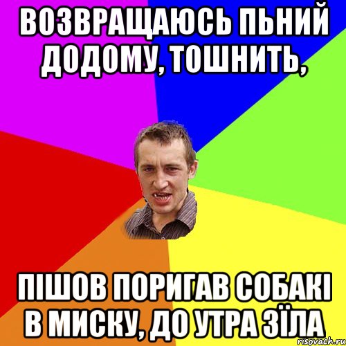 возвращаюсь пьний додому, тошнить, пішов поригав собакі в миску, до утра зїла, Мем Чоткий паца