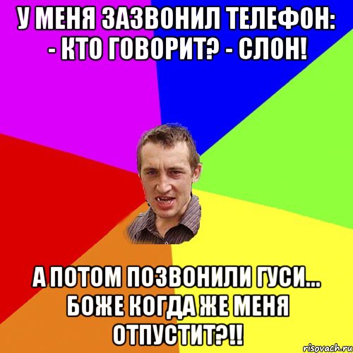 у меня зазвонил телефон: - кто говорит? - слон! а потом позвонили гуси... боже когда же меня отпустит?!!, Мем Чоткий паца