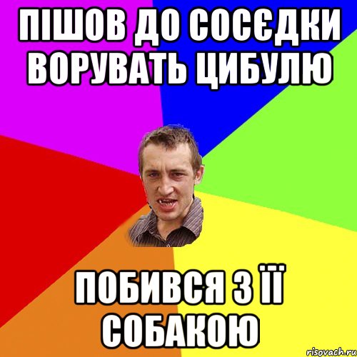 пішов до сосєдки ворувать цибулю побився з її собакою, Мем Чоткий паца