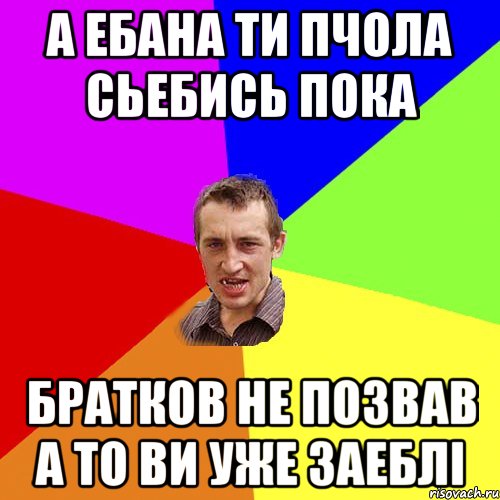 а ебана ти пчола сьебись пока братков не позвав а то ви уже заеблі, Мем Чоткий паца