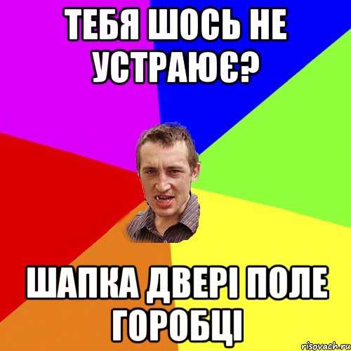 тебя шось не устраює? шапка двері поле горобці, Мем Чоткий паца