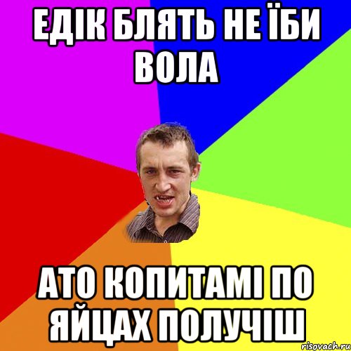 едік блять не їби вола ато копитамі по яйцах получіш, Мем Чоткий паца