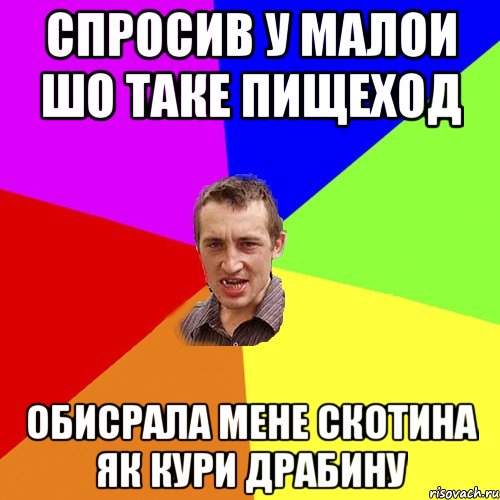 спросив у малои шо таке пищеход обисрала мене скотина як кури драбину, Мем Чоткий паца