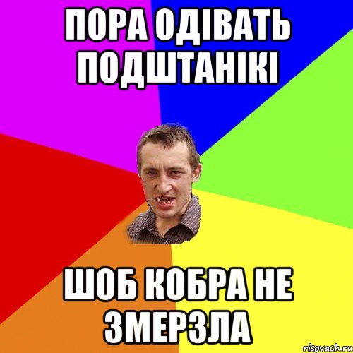 пора одівать подштанікі шоб кобра не змерзла, Мем Чоткий паца