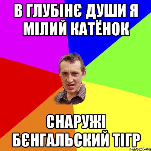 в глубінє души я мілий катёнок снаружі бєнгальский тігр, Мем Чоткий паца