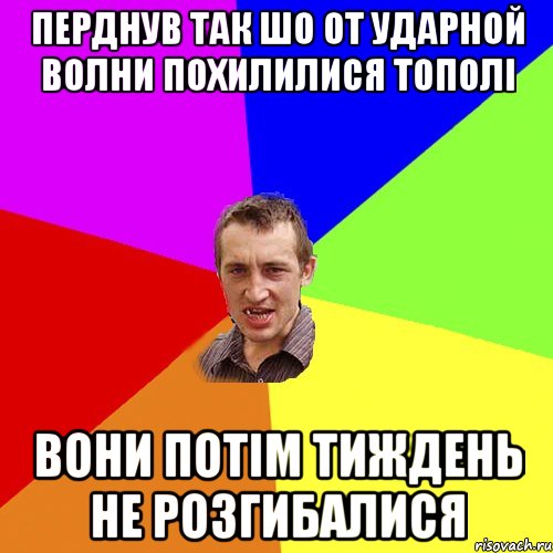 перднув так шо от ударной волни похилилися тополі вони потім тиждень не розгибалися, Мем Чоткий паца