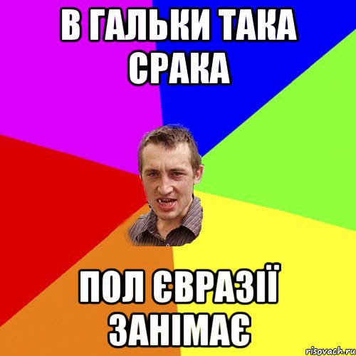 в гальки така срака пол євразії занімає, Мем Чоткий паца