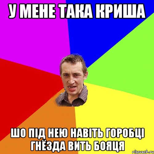 у мене така криша шо під нею навіть горобці гнёзда вить бояця, Мем Чоткий паца