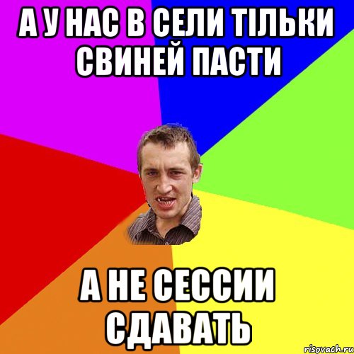 а у нас в сели тільки свиней пасти а не сессии сдавать, Мем Чоткий паца