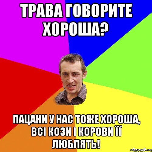 трава говорите хороша? пацани у нас тоже хороша, всі кози і корови її люблять!, Мем Чоткий паца