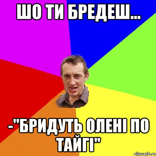 шо ти бредеш... -"бридуть олені по тайгі", Мем Чоткий паца