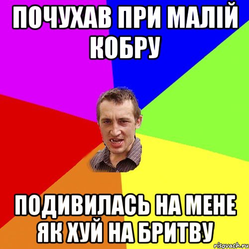 почухав при малій кобру подивилась на мене як хуй на бритву, Мем Чоткий паца