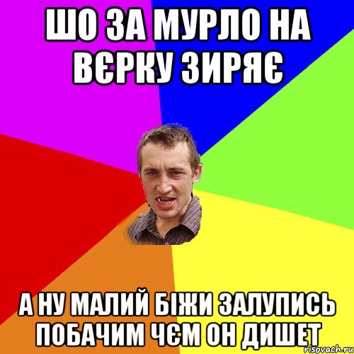 шо за мурло на вєрку зиряє а ну малий біжи залупись побачим чєм он дишет, Мем Чоткий паца