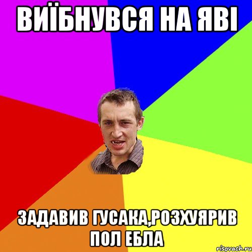 виїбнувся на яві задавив гусака,розхуярив пол ебла, Мем Чоткий паца