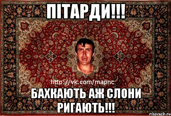 пітарди!!! бахкають аж слони ригають!!!