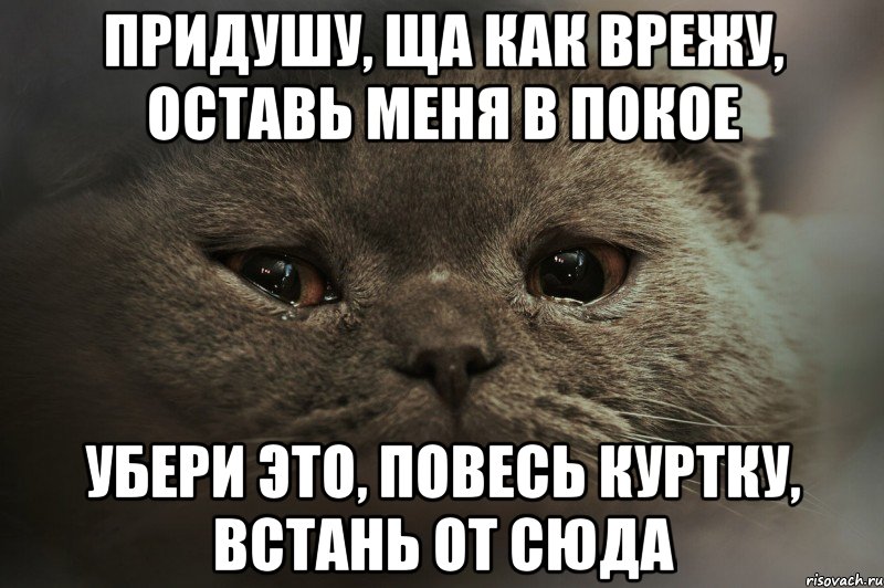 придушу, ща как врежу, оставь меня в покое убери это, повесь куртку, встань от сюда