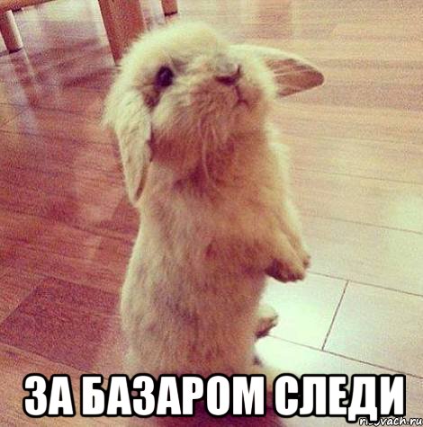  за базаром следи