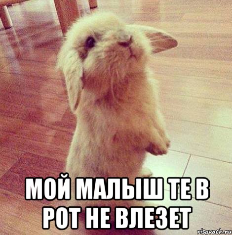  мой малыш те в рот не влезет