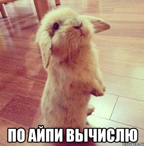  по айпи вычислю