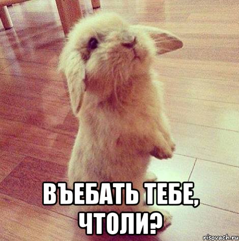  въебать тебе, чтоли?