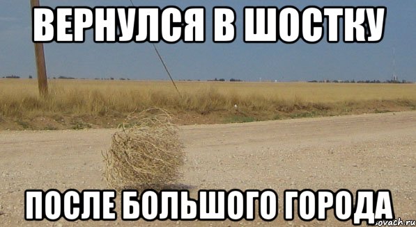 вернулся в шостку после большого города, Мем перекати-поле одиночество