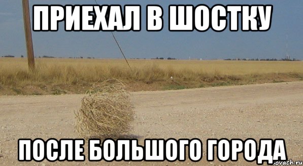 приехал в шостку после большого города, Мем перекати-поле одиночество
