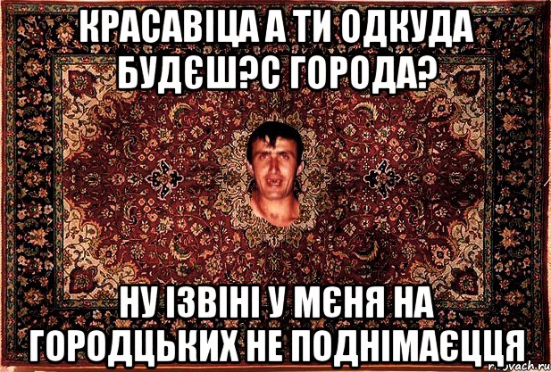 красавіца а ти одкуда будєш?с города? ну ізвіні у мєня на городцьких не поднімаєцця, Мем Перший парнь на сел