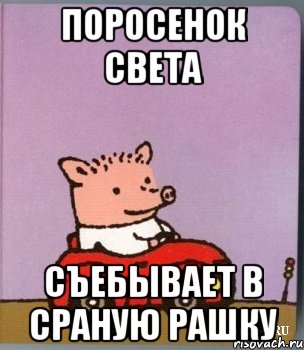 поросенок света съебывает в сраную рашку, Мем петр