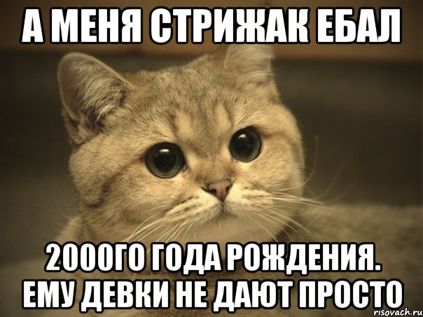 а меня стрижак ебал 2000го года рождения. ему девки не дают просто, Мем Пидрила ебаная котик