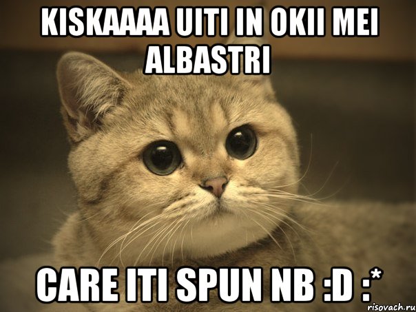 kiskaaaa uiti in okii mei albastri care iti spun nb :d :*, Мем Пидрила ебаная котик