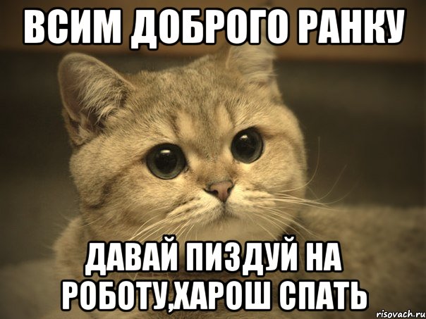 всим доброго ранку давай пиздуй на роботу,харош спать, Мем Пидрила ебаная котик