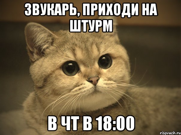 звукарь, приходи на штурм в чт в 18:00, Мем Пидрила ебаная котик