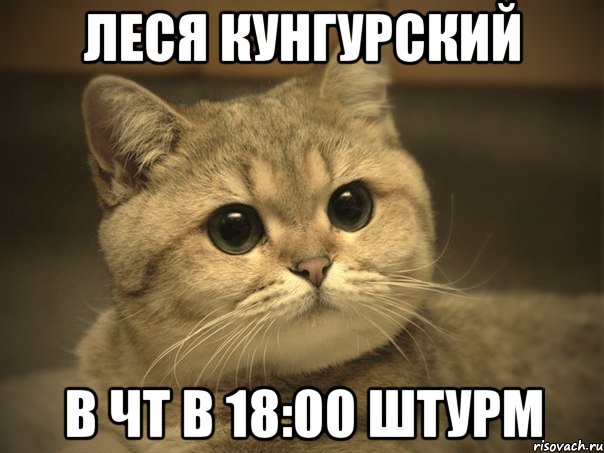 леся кунгурский в чт в 18:00 штурм, Мем Пидрила ебаная котик